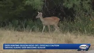 Officials caution drivers during deer mating season