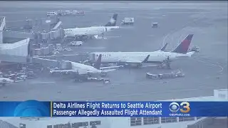 Officials: Passenger Attacks Delta Flight Attendant