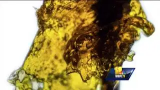 Officials warn dabbing has hazardous side effects