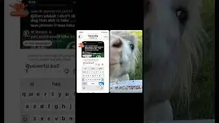 Og rescue gal. 2-4-26 