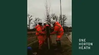 OHH Tree Planting Video - Dec 2024
