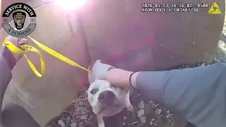 Ohio State Highway Patrol save dog from turnpike in Olmsted Falls