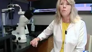 Okla. Doctor Makes Groundbreaking Discovery