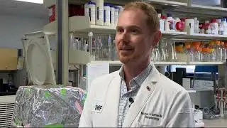 Oklahoma scientists explore blueberries as arthritis treatment