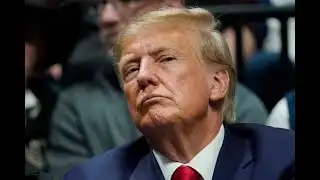 OMG: Trump pulls INSANE Nobel Peace Prize stunt