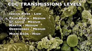 Omicron subvariant XBB.1.5 may be spreading in Florida