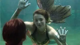 On the job with a mermaid