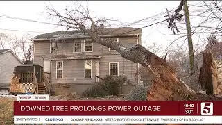 One downed tree in Old Hickory may be prolonging the neighborhood