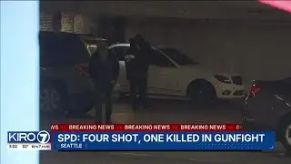 One killed, three injured in shooting near Seattle