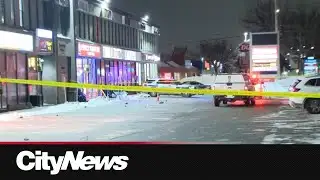 One person charged with murder after violent random attacks in Mississauga