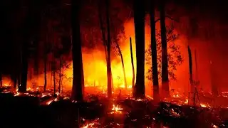 One person dead in Victoria bushfires