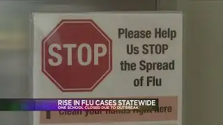 One school closed due to flu outbreak