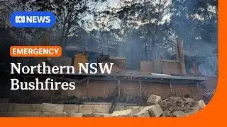 Ongoing bushfire danger in northern NSW despite expected cool change | ABC NEWS