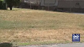 Ongoing dry weather continues to burn lawns