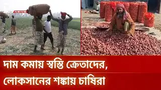 ভারত থেকে আমদানির খবরে পেঁয়াজের দরে ধস | Onion Price | DBC NEWS