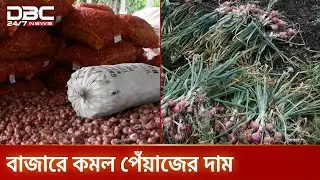 পেঁয়াজ আমদানির খবরে বাজারে দাম কমেছে ২০-২৫ টাকা | Onion Price | DBC NEWS