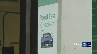 Only half of driver’s license road test takers pass