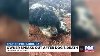 Only on FOX Carolina: Owner speaks after dog euthanized without her knowledge