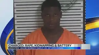 Opelousas man charged with rape, battery and theft