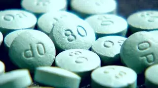 Opioid recovery bills pass through Michigan Senate