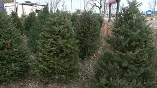 Optimist Christmas Tree Lot in North Platte keeps proceeds in Lincoln County