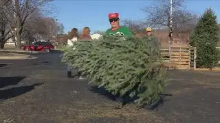 Optimist Club Christmas trees