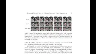 Optimizing Synthetic Data for Enhanced Pancreatic Tumor Segmentation - ArXiv:2407.19284