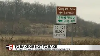 Options for your lawn leaf litter ahead of winter