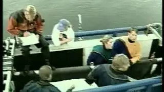 Orca "Springer" Alive & Well 10 Years After Incredible Rescue