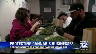 Oregon senators introduce bill that would protect cannabis businesses