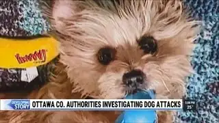 Ottawa County authorities investigating dog attacks