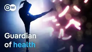 Our immune system - Miracle weapon against cancer? | DW Documentary