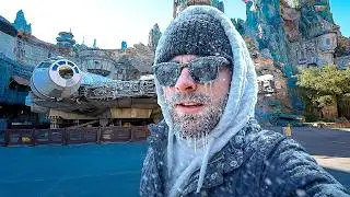 Our Yard Froze Solid… So We Escaped to Disney World