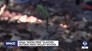 Out-of-this-world tree planted at Neil Armstrong Academy