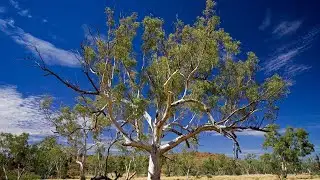 Outback Queensland experiencing a tourism renaissance