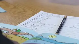 Over 10,000 3rd-grade students fail IREAD testing in Indiana