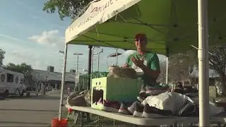 Over 16,000 hit the streets for the 46th Gate River Run