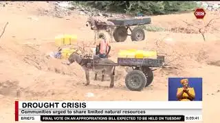 Over 300,000 residents affected by drought in Mandera County