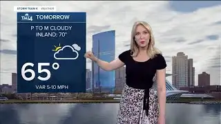 Overnight scattered showers before a mostly cloudy Sunday
