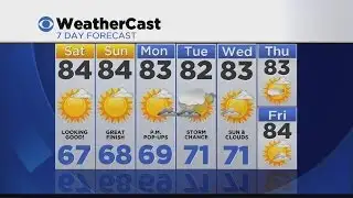 Overnight Weather 8/7: Clear And Mild