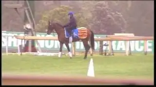 Overseas favourite for Caulfield Cup