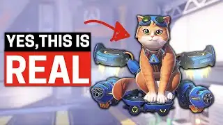Overwatch Just Relaunched...10 New Heroes & Jetpack Cat WTF!