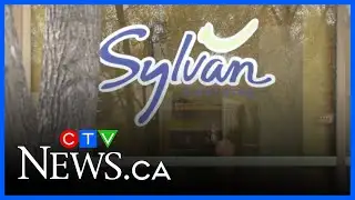 Owner of local Sylvan Learning Centres speaks