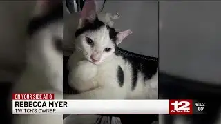 Owners of missing cat believe he jumped into Amazon delivery van