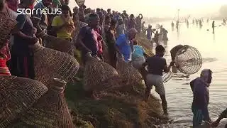 পাবনার ভাঙ্গুড়া উপজেলার রুহুল বিলে বাউত উৎসব | Pabna | Fishing | Star News