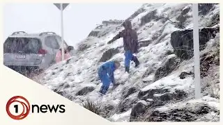Paddocks turned into swamps as snow replaced by rain down south