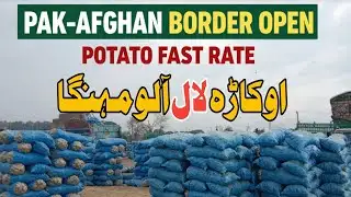 Pak Afghan Border Open? | Potato Fast Rate Today | Torkham Border Latest Update