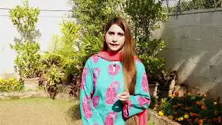 Pakistan National Assembly Panel’s Decision Sparks Debate Over Official Pilgrimage