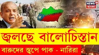 Pakistan News | বইয়ের বদলে বোমা! বালোচ বিদ্রোহের নতুন মুখ পাক নারীরা | N18G