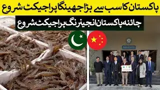 Pakistan’s Largest Shrimp Project Begins | New China-Pakistan Engineering Project Launched